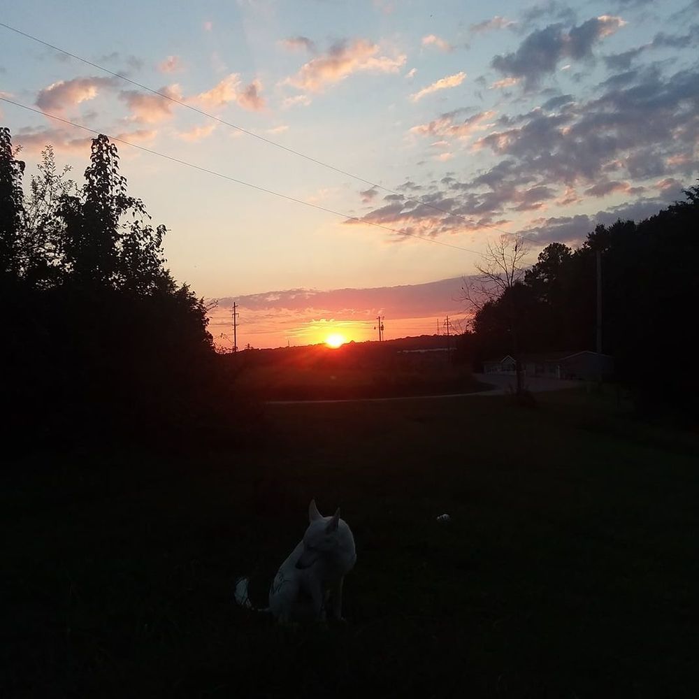 Meet your Posher, Mariah